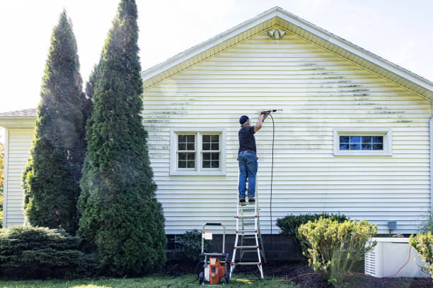 Reliable Mount Pleasant, NC Pressure Washing Services Solutions